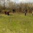 2018 04 29 - Село Шапкино